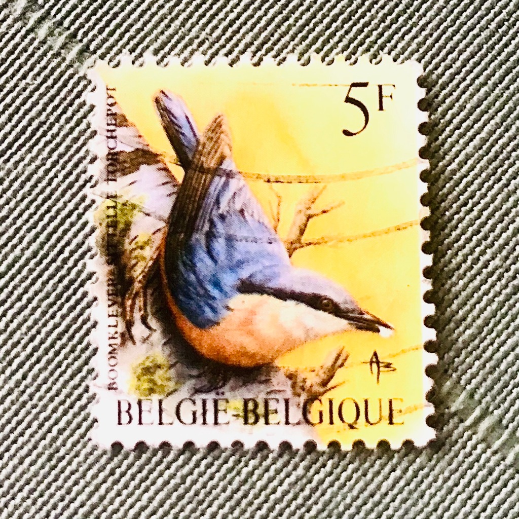 stamp european nuthatch